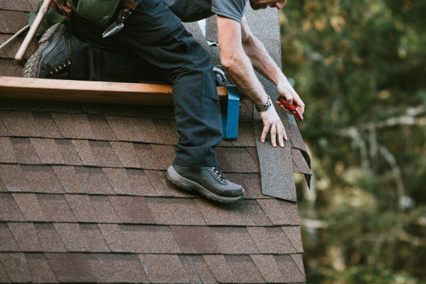 Best Roof Gutter Cleaning  in Rome, GA